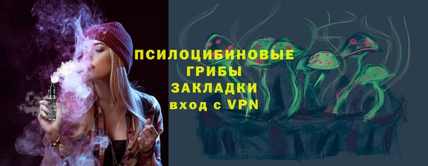 бошки Алексин