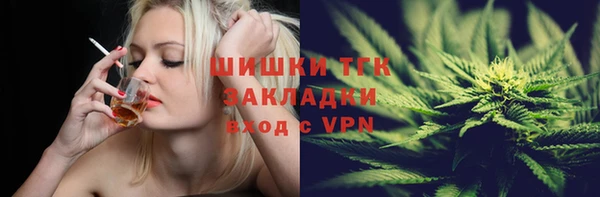 бошки Алексин